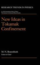 New Ideas in Tokamak Confinement