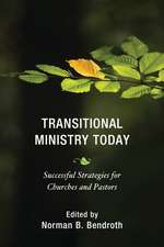Transitional Ministry Today: Successful Strategies for Churches and Pastors