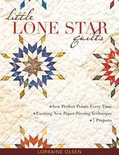 Little Lone Star Quilts: Sew Perfect Points Every Time - Exciting New Paper-Piecing Technique - 7 Projects