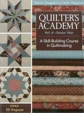 Quilter's Academy, Volume 4: A Skill Building Course in Quiltmaking