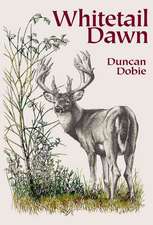 Whitetail Dawn