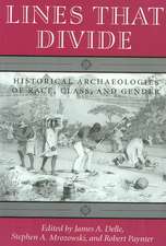 Lines That Divide: Historical Archaeologies of Race, Class, and Gender