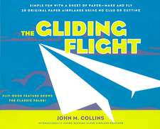 The Gliding Flight