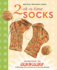 2-At-A-Time Socks: The Secret of Knitting Two at Once on One Circular Needle