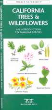 California Trees & Wildflowers: An Introduction to Familiar Species