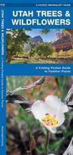 Utah Trees & Wildflowers: A Folding Pocket Guide to Familiar Species