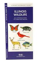 Illinois Wildlife: An Introduction to Familiar Species