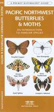 Pacific Northwest Butterflies & Moths: An Introduction to Familiar Species