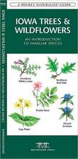 Iowa Trees & Wildflowers: An Introduction to Familiar Species