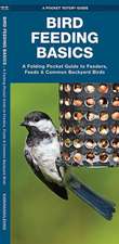 Bird Feeding Basics: An Introduction to Feeders, Feeds & Common Backyard Birds