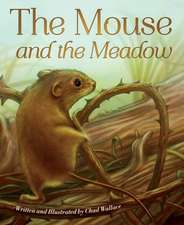 The Mouse and the Meadow