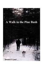 A Walk in the Pine Bush