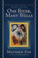 One River, Many Wells