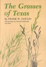 The Grasses of Texas