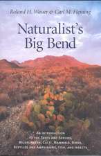 Naturalist's Big Bend: An Introduction to the Trees and Shrubs, Wildflowers, Cacti, Mammals, Birds, Reptiles and Amphibians, Fish, and Insect