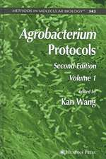 Agrobacterium Protocols: Volume I