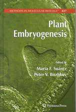 Plant Embryogenesis