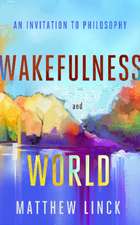 Wakefulness and World