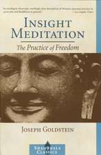 Insight Meditation: A Psychology of Freedom