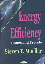 Energy Efficiency: Issues & Trends