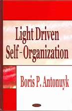 Light Driven Self-Organization