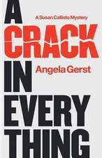 A Crack in Everything: A Susan Callisto Mystery