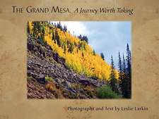 Grand Mesa