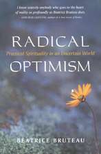 Radical Optimism: Practical Spirituality in an Uncertain World