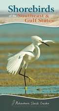 Shore Birds of the Southeast & Gulf States