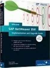 Efficient SAP NetWeaver BW Implementation and Upgrade Guide