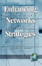 Enhancing Inter-Firm Networks and Interorganizational Strategies (Hc): Academic Performance and Achievement in the Post-Brown Era (Hc)