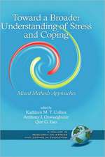 Toward a Broader Understanding of Stress and Coping