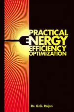 Practical Energy Efficiency Optimization