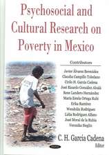 Psychosocial and Cultural Research on Poverty in Mexico