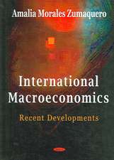 International Macroeconomics: Recent Developments