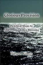 Glorious Provision. Practical Steps to God's Abundance Blessing