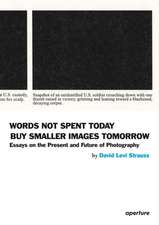 David Levi Strauss