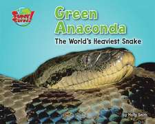 Green Anaconda: The World's Heaviest Snake