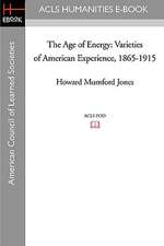 The Age of Energy: Varieties of American Experience, 1865-1915