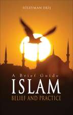 Islam: A Brief Guide: Belief and Practice