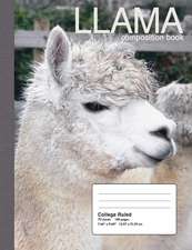 Llama Composition Notebook