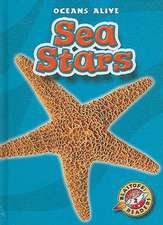 Sea Stars