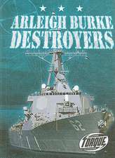 Arleigh Burke Destroyers