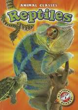 Reptiles