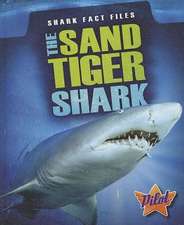 The Sand Tiger Shark