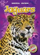 Jaguars