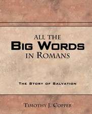 All the Big Words in Romans