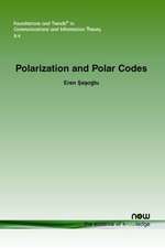 Polarization and Polar Codes