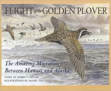 Flight of the Golden Plover – The Amazing Migration Between Hawaii and Alaska