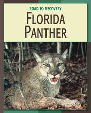 Florida Panther